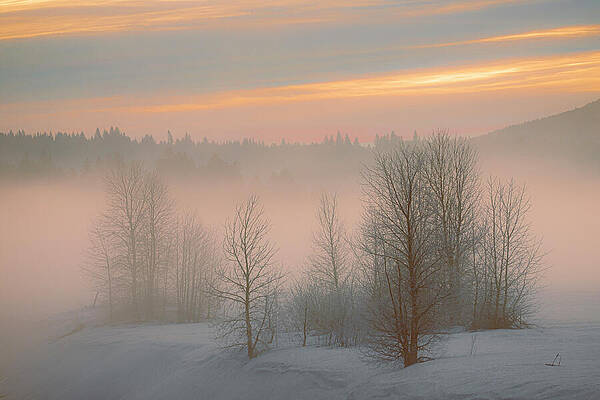 American Wall Art featuring the photograph Frosty Dawn by Mike Lee