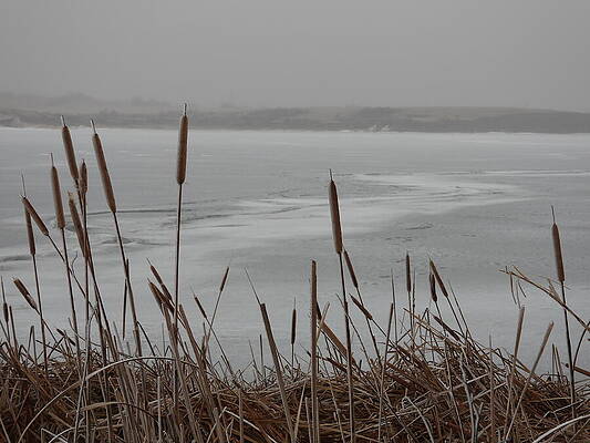 Serene Wall Art featuring the photograph Frosty Frozen Lake 2 by Amanda R Wright