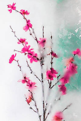 Beautiful Wall Art featuring the photograph Frozen Beauty, Cherry Blossoms by Shannon Williams
