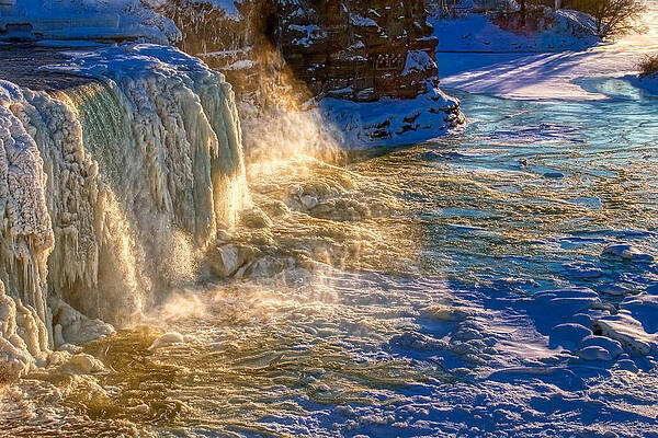 Winter Wall Art featuring the photograph Frozen Beauty by Tatiana Travelways