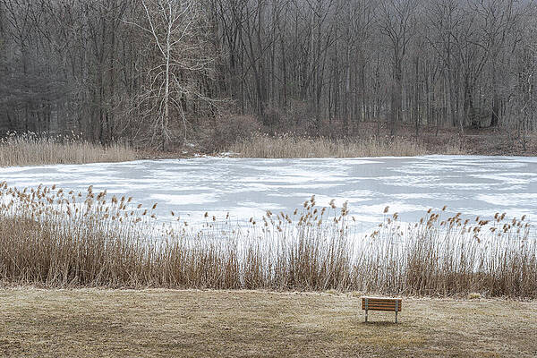 Outdoors Photograph - Frozen Pond At Sega Meadows by Dave King