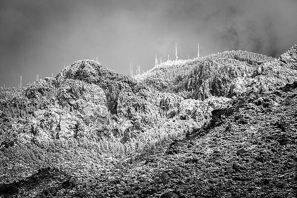Frozen Transmissions in Black and White by Howard Holley