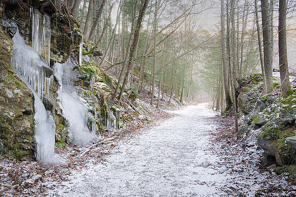 Winter Wall Art featuring the photograph Frozen Trail by Dave King
