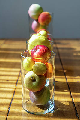 Wall Art featuring the photograph Modern Still Life 10 by Gina Cinardo