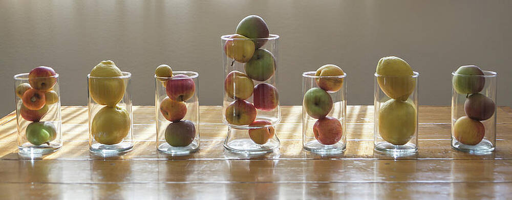 Wall Art featuring the photograph Modern Still Life 5 by Gina Cinardo