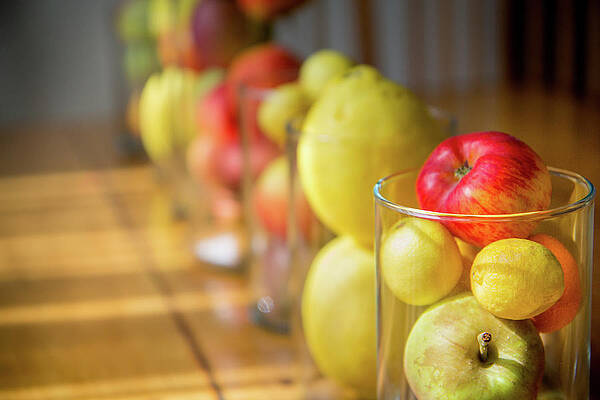 Wall Art featuring the photograph Modern Still Life 7 by Gina Cinardo