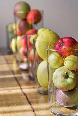 Wall Art featuring the photograph Modern Still Life 8 by Gina Cinardo