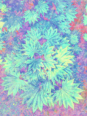 Wall Art featuring the photograph Full Moom Maple With Lichen Texture by Bruce Block