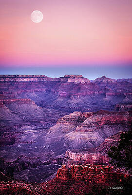 Sky Wall Art featuring the photograph Full Moon At Sunrise by Jim Carlen
