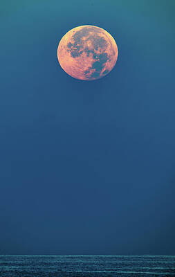 Mexico Wall Art featuring the photograph Full Moon Over Pacific Mazatlan by Tommy Farnsworth