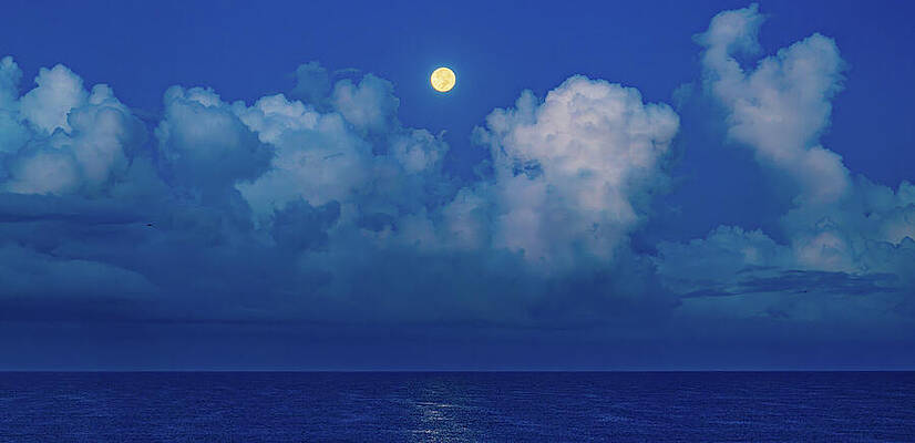Photograph - Full Moon Setting On Pacific by Tommy Farnsworth