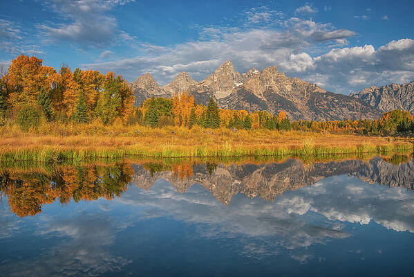 Darren White Grand Teton National Park Wall Art
