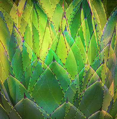 Yellow Wall Art featuring the photograph Funky Green by Elvira Peretsman