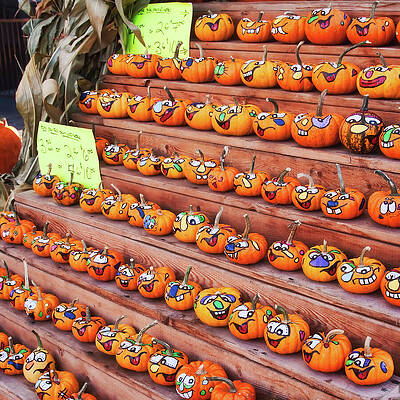 Wall Art featuring the photograph Funny Mini Pumpkins At The Market by Tatiana Travelways