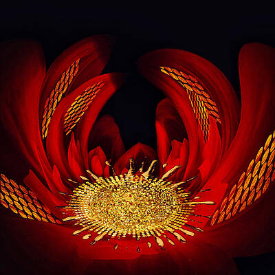 Abstract Digital Art - Future Flora by Canessa Thomas