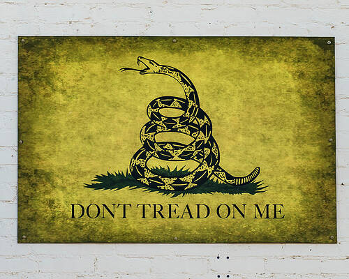 Wall Art featuring the photograph Gadsen Flag by Flees Photos