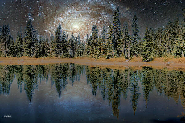 Galaxy Reflection Over Forest Lake Wall Art