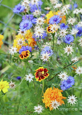 Green Photograph - Garden Bouquet by D Lee