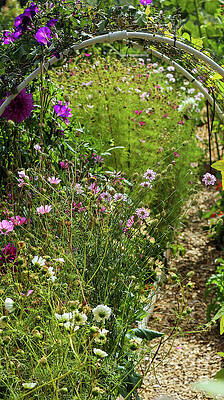 Wall Art featuring the photograph Garden Flower Arch by D Lee
