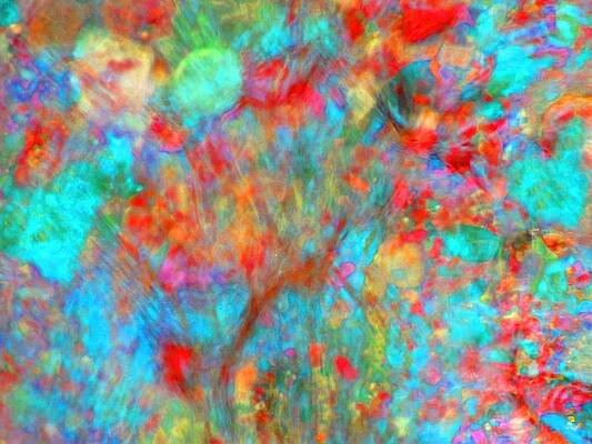 Orange Wall Art featuring the digital art Garden Melt by T Oliver