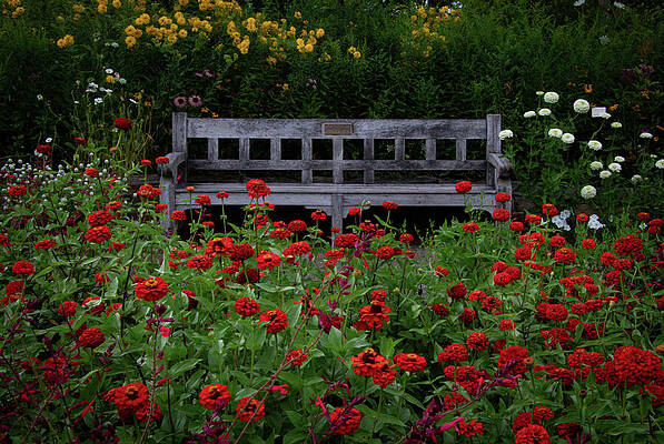 Nature Photograph - Garden Retreat by Deb Beausoleil