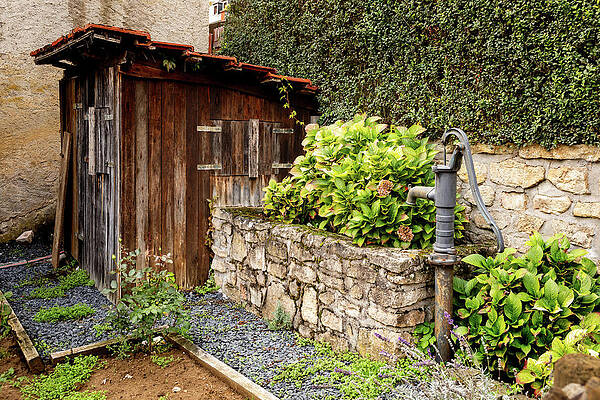 Flower Photograph - Garden Scene by Craig A Walker