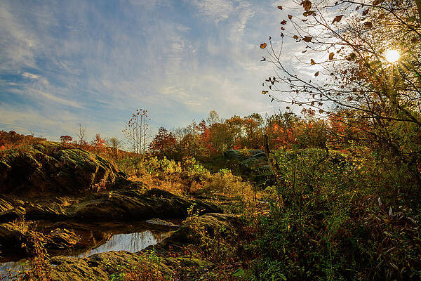 Vibrant Photograph - Garden Sunrise by Anthony Hightower