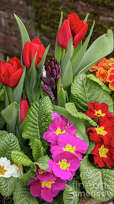 Nature Photograph - Garden Tulips Mix 2 by D Lee