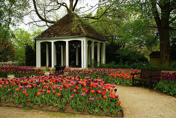 Wisconsin Photograph - Garden View by Deb Beausoleil