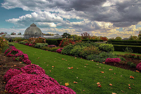Flower Photograph - Gardens At The Belle Isle Conservatory by Deb Beausoleil