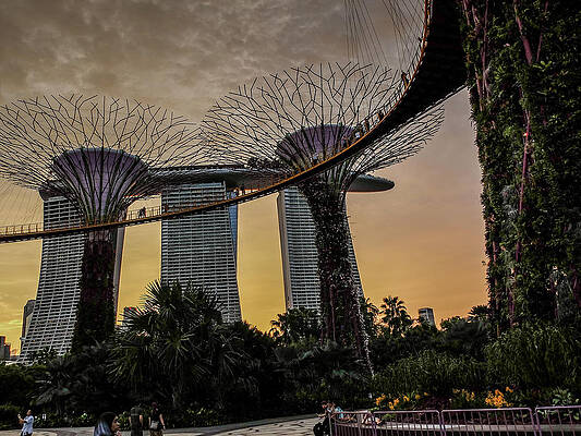 Photograph - Gardens By The Bay by Ed Wilkerson