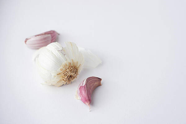 Raw Photograph - Garlic Bub Side View by Scott Lyons
