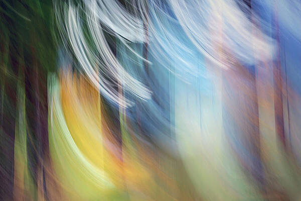 Tree Photograph - Gathering Colours by Ursula Abresch