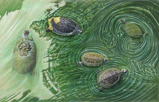 Gathering Turtles by Terry Edeker