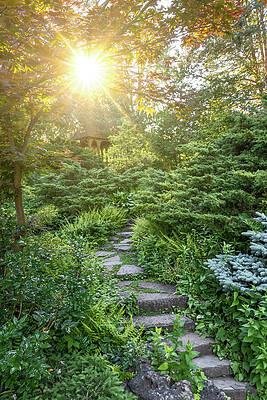 Sunset Photograph - Gazebo In A Lush Garden by John Twynam
