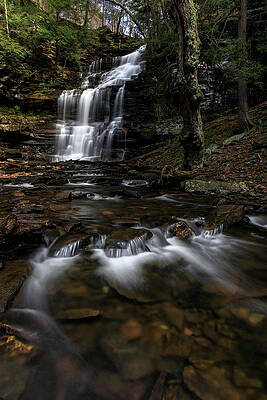 Nature Wall Art featuring the photograph G'day Ganoga by Todd Wilkinson