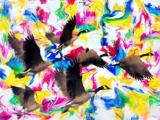 Painting - Geese Flying Over Key West by Gary Arnold