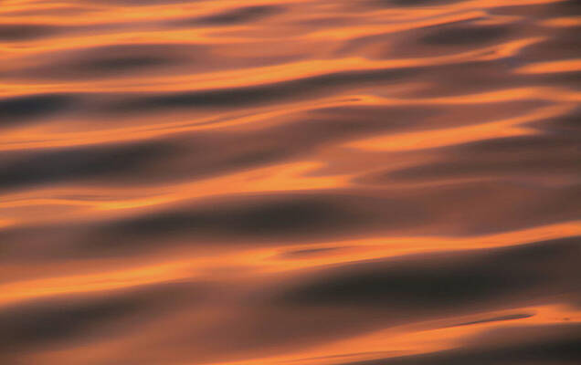 Reflection Wall Art featuring the photograph Gentle Sunset Waves by Dan Sproul