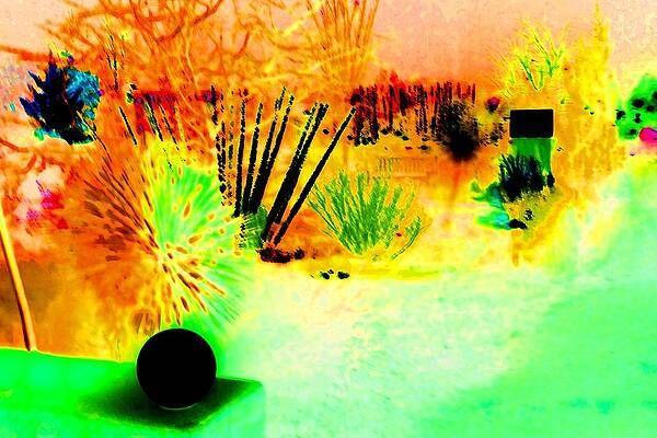 Orange Wall Art featuring the digital art Geometric Forms In The Wild by T Oliver