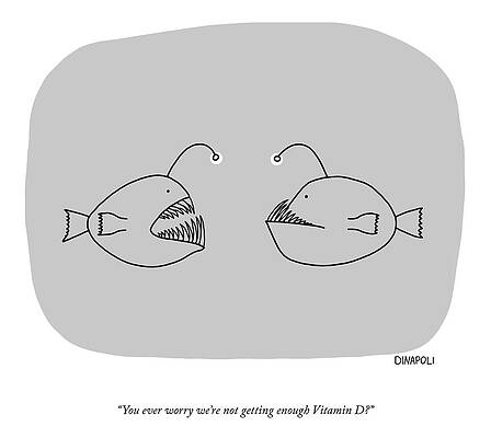Anglerfish Discussing Vitamin D Wall Art