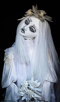 Dramatic Wall Art featuring the photograph Ghostly Beauty by Elvira Peretsman