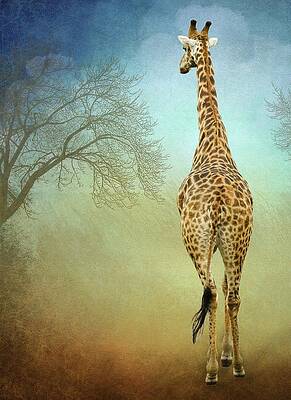 Wall Art featuring the photograph Giraffe Walking Tall In South Africa by Rebecca Herranen