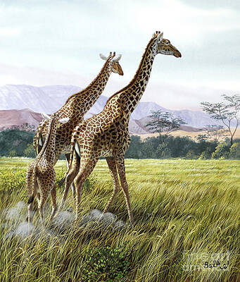 Nature Wall Art featuring the painting Giraffes Crossing Savanna by Don Balke