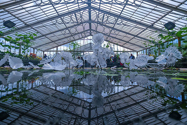 Glass house reflection by Andrew Lalchan