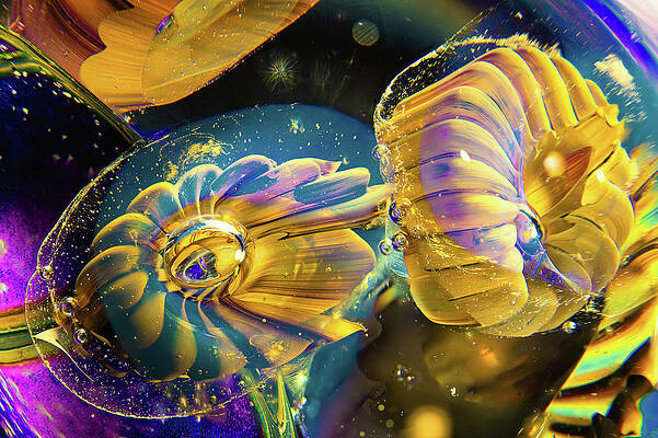 Photograph - Glass Nebula by Steven Nelson