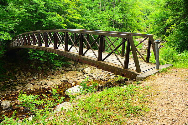 Wilderness Wall Art featuring the photograph Glastenbury Wilderness Bridge With Spring Green 3 by Raymond Salani III