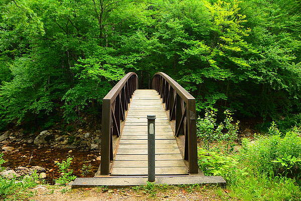 Wilderness Wall Art featuring the photograph Glastenbury Wilderness Bridge With Spring Green 4 by Raymond Salani III