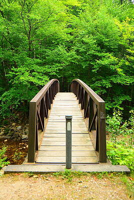 Wilderness Wall Art featuring the photograph Glastenbury Wilderness Bridge With Spring Green 5 by Raymond Salani III