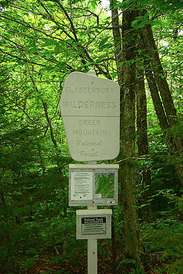 Wilderness Wall Art featuring the photograph Glastenbury Wilderness Sign 2 by Raymond Salani III