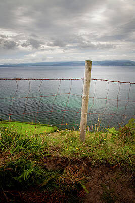 Nature Photograph - Glenbeigh Edging by Mark Callanan